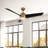 Thalia 54'' Ceiling Fan with LED Lights-95320080-95320079