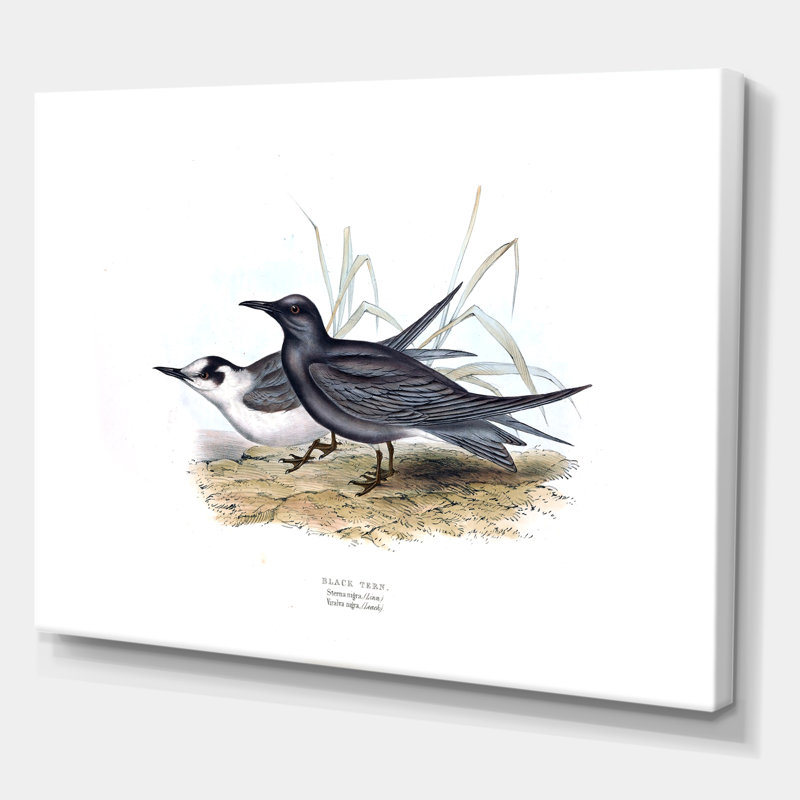 Oiseau rétro de l'Europe II - peinture sur toile, H 24 po x l 32 po x P 1 po, Toile tendue