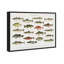 Poisson américain - peinture sur toile-61815337-61815343