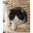 57.87" Natural Color Standard Solid + Manufactured Wood Cat Tree