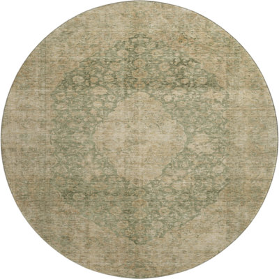 Premium Machine Washable Honig AMF1657 Global Rug