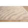 Edsel Oriental Light Gray/Beige Area Rug