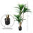Primrue Set of Two Yucca Artificial Trees