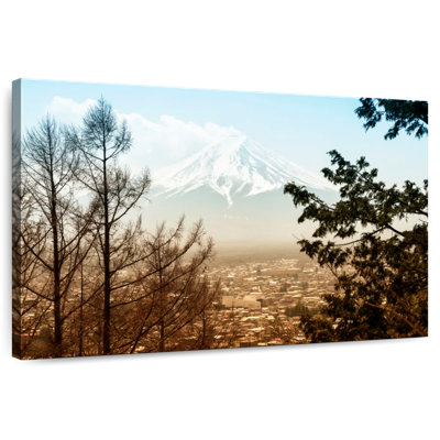 Ravi Mt. Fuji