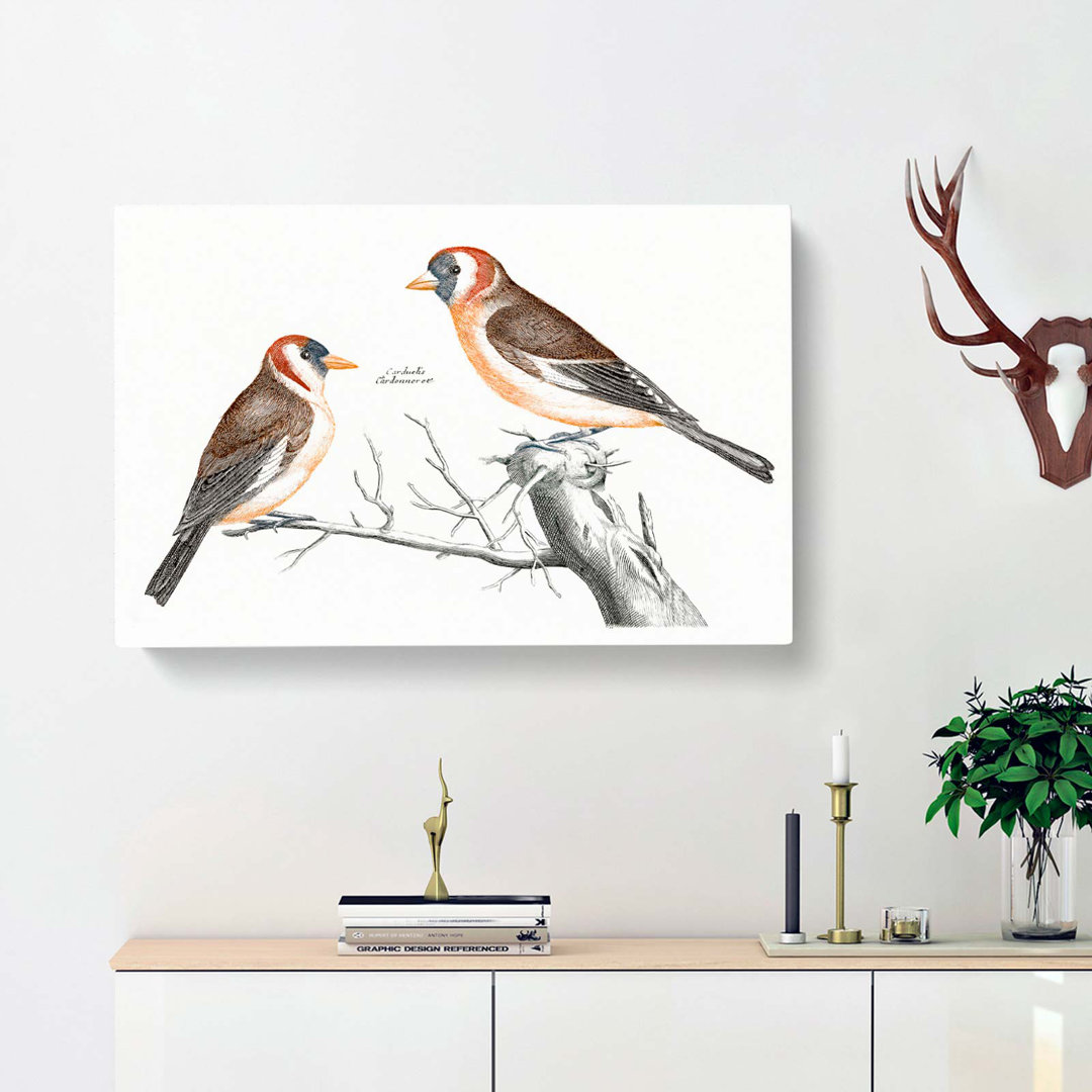 Goldfinches by Johan Teyler - Wrapped Canvas