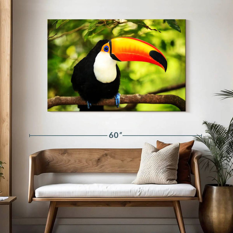 Brampt Toco Toucan, 32" H x 48" W