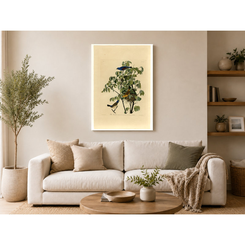 «Blue Grosbeak, Plate 122 - Portrait», art mural sur toile, 14" W x 11" H