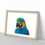 Macaw Parrot - Framed Print-55577501-55577503