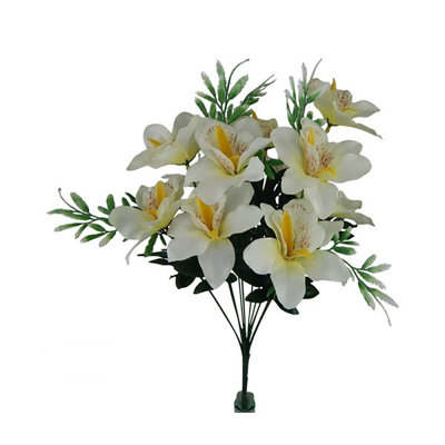 Orchid Arrangement