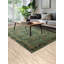 Tapis oriental élégant et floral vert Aubusson 6 x 9