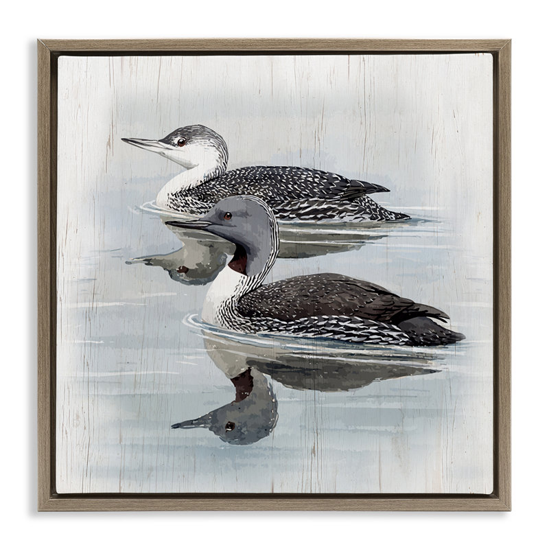 «Twin Loons in Water», toile encadrée flottante noire par Susan Jill, Cadre flottant orme Montalcino, H 25 po x l 25 po