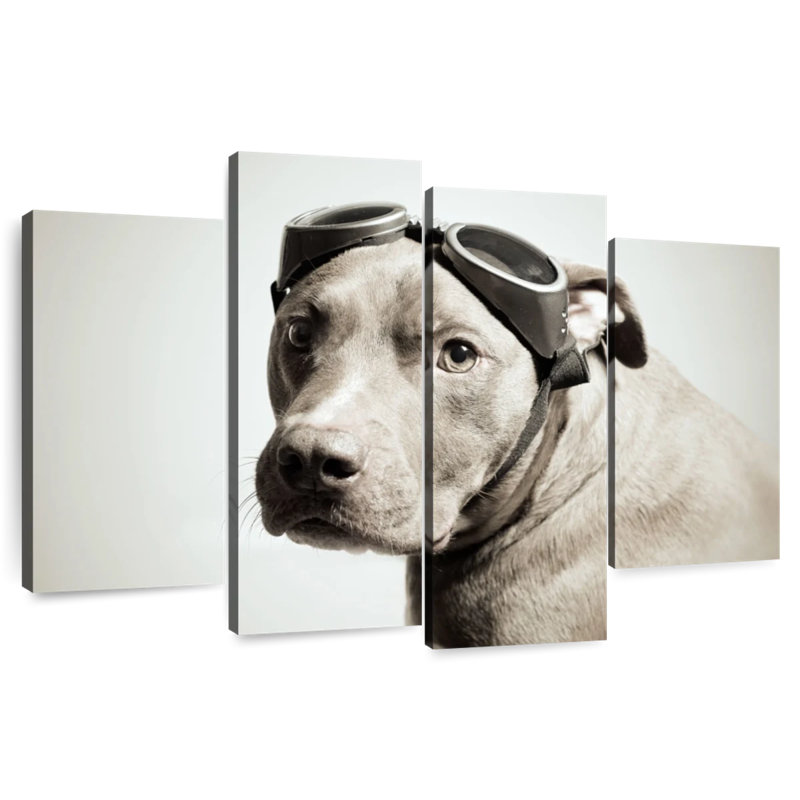 Brampt Aviator Pit Bull, 22" H x 36" W