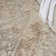 Haydel Oriental Machine Washable Power Loom Polyester Area Rug in Beige