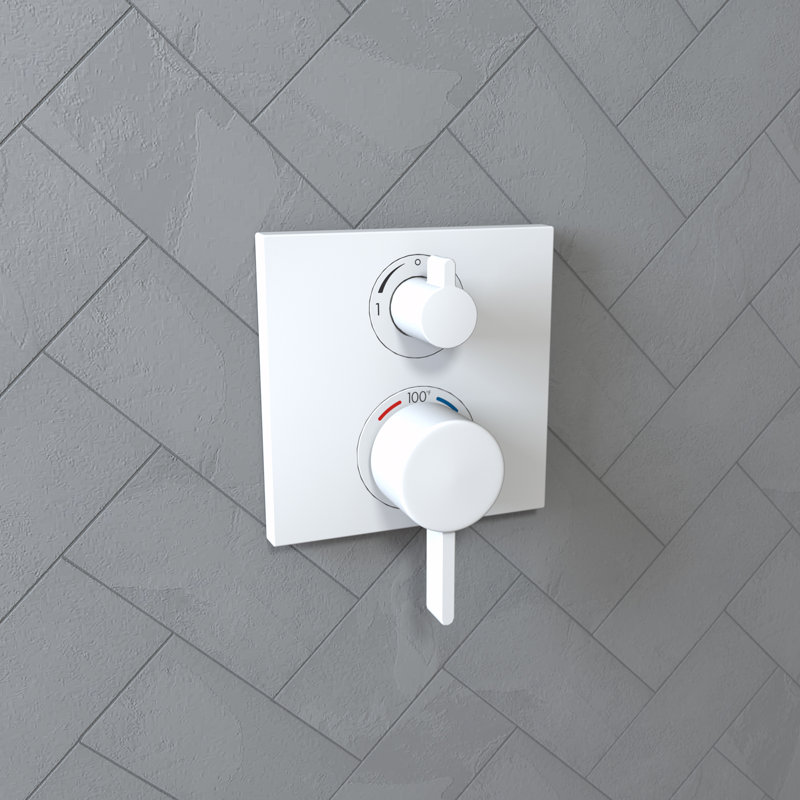 Garniture de robinet de douche Ecost, Blanc mat