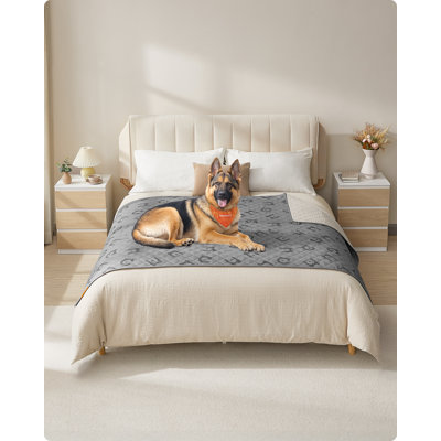 Dog Blankets