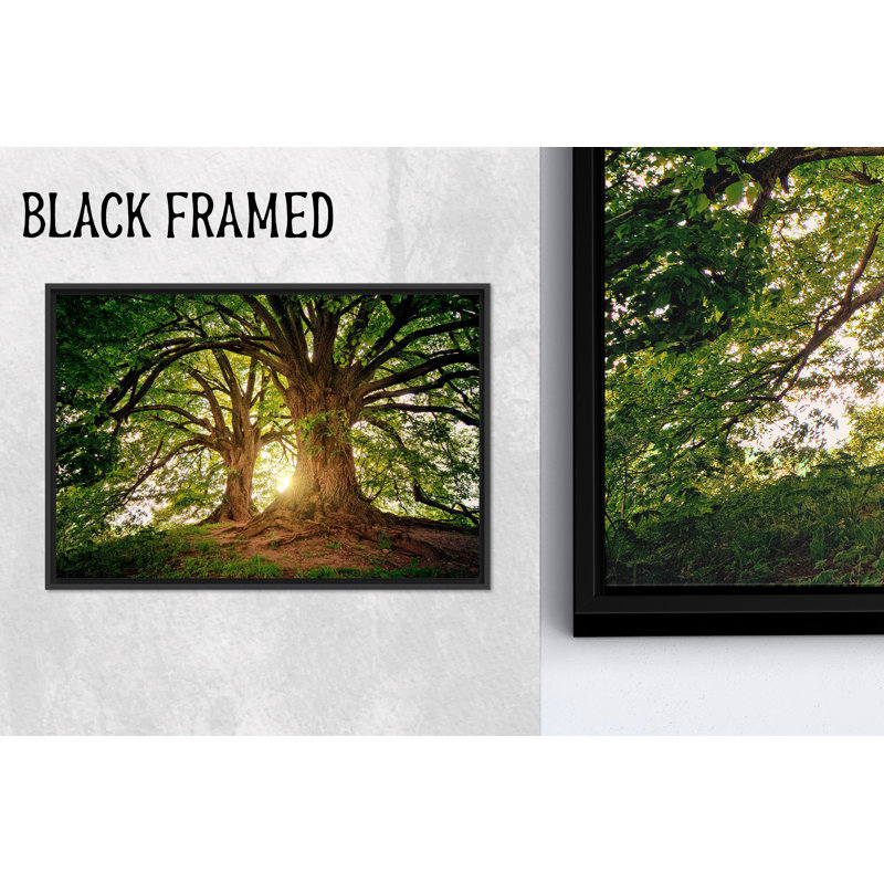Toile imprimée: vue de paysage de forêt, œuvre d'art 1P BlackFramed, 31,6 po H x 43,4 po l