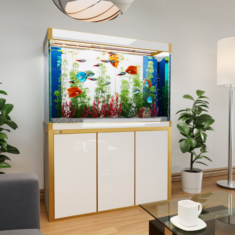 Réservoir d'aquarium 50 gallons, Blanc / or, 135 gallons (H 51 po x l 14 po x P 24 po)