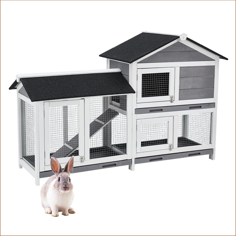 Rabbit Hutch