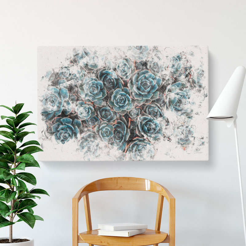 Succulent Plants - Wrapped Canvas Print, 40cm H x 60cm W x 4cm D