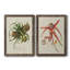 Toile encadrée Elegant Tropicals-631182275-631182274-631029217
