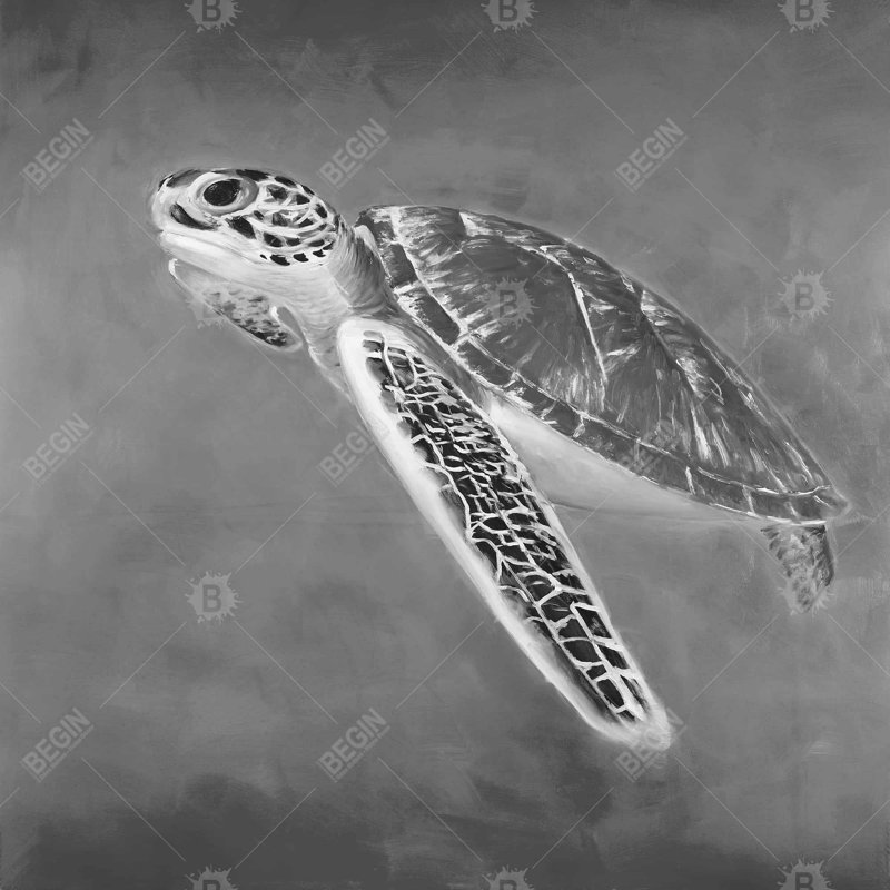 «Tortue de mer en niveaux de gris»