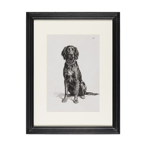 Loyal Guardian Print I, Ii