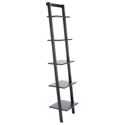 Joe Ladder Bookcase