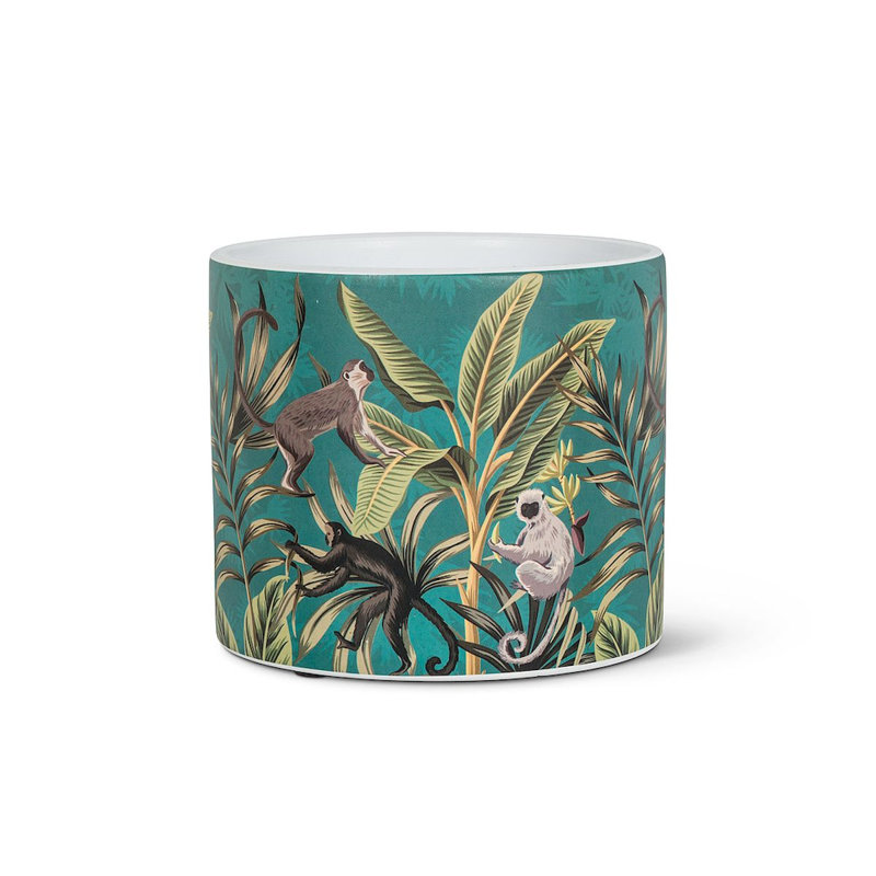 Pot à fleurs en ciment Carwile