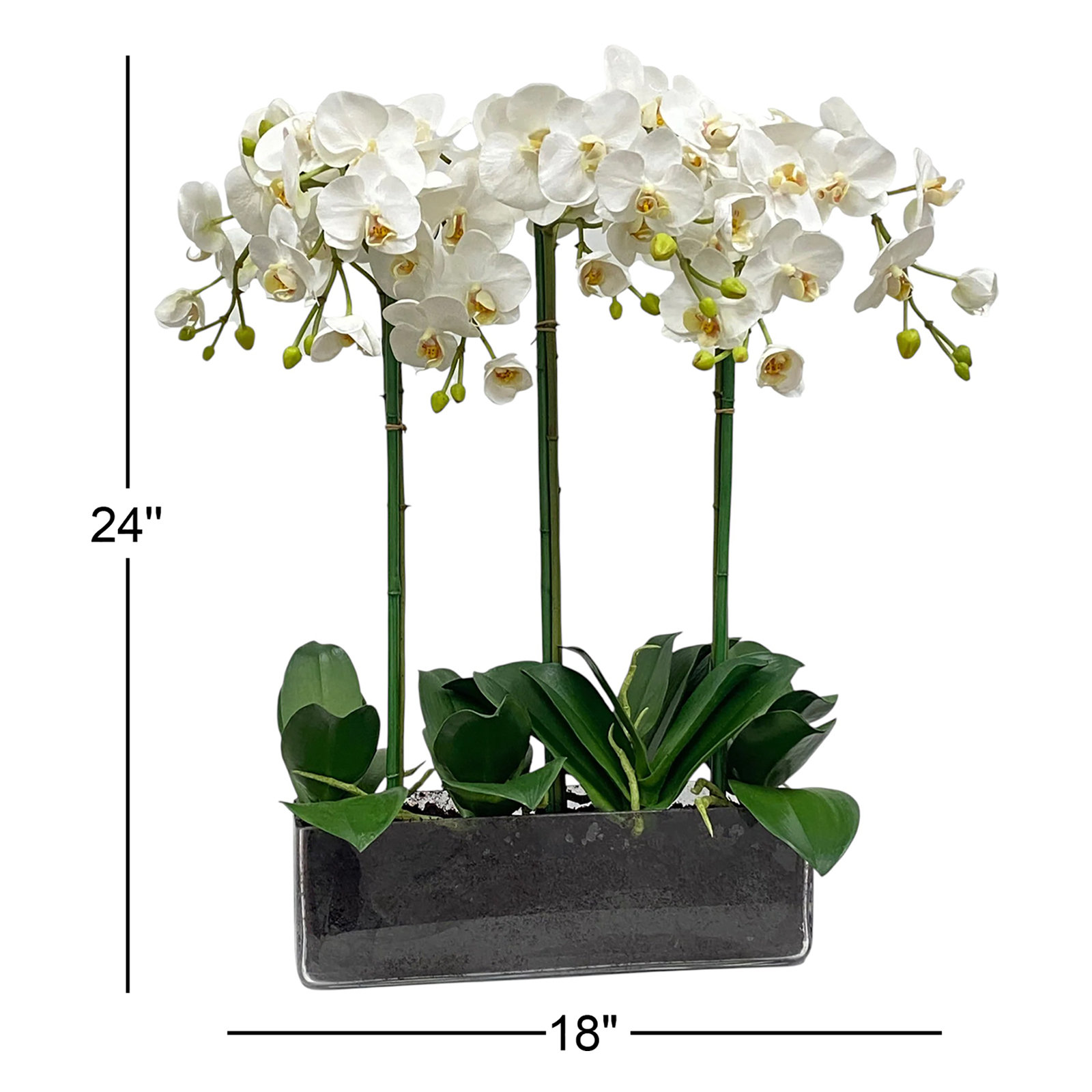 Orchid Floral Arrangement