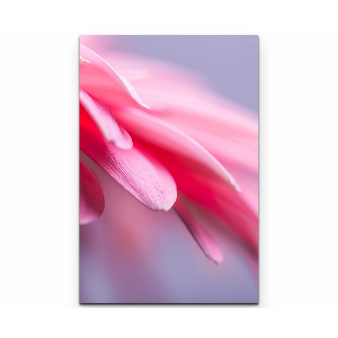 Leinwandbild Rosa Gerbera – Nahaufnahme