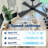 64" Outdoor Ceiling Fan 4 ABS Blades, Reversible DC Motor, 6-Speed Remote Control, Wet Rated Waterproof Ceiling Fan-Black-787257588-764903537