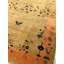 Floral Area Rug in Beige