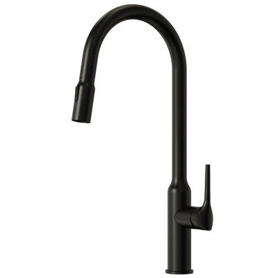 Dual Function Single Handle Pull Down Kitchen Faucet