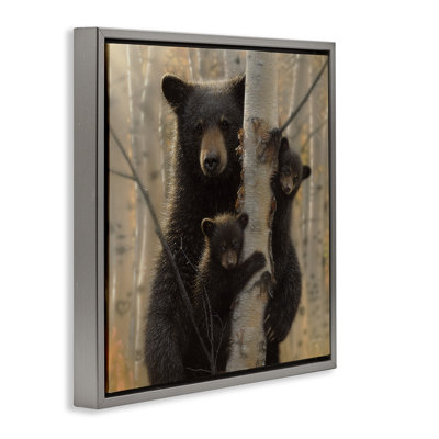 «Forest Forest and Cubs», art mural encadré flottant par Collin Bogle