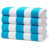 Light Blue/White
