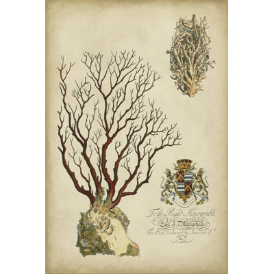 Imperial Coral III by Vision Studio - Wrapped Canvas Print
