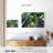 Alvord Bamboo Forest Sky Light-108694541