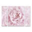 " Pink Peony Flower " by Cora Niele 3 - Pieces-185447027