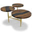 Althaia Acrylic Round Coffee Table