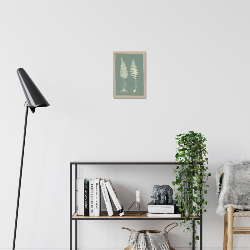Ferns On Sage VI by Vision Studio - Painting, 50cm H x 34cm W, Natural Wood Framed Paper Print