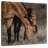 Brampt Unbroken Bond-109232073