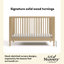 Rio 5-in-1 Convertible Crib with Toddler Guardrail-1013702228