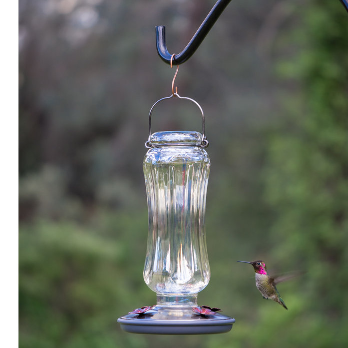 Mangeoire à colibris en verre lala