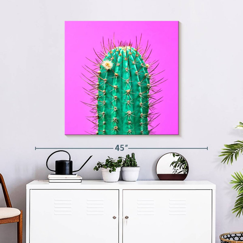 Cactus Harnek, H 30 po x l 30 po