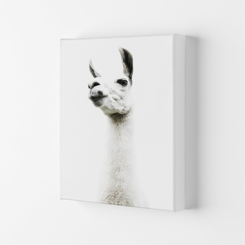 Llama II by Victoria Frost - Print, 59.4cm H x 42cm W x 4cm D, Wrapped Canvas