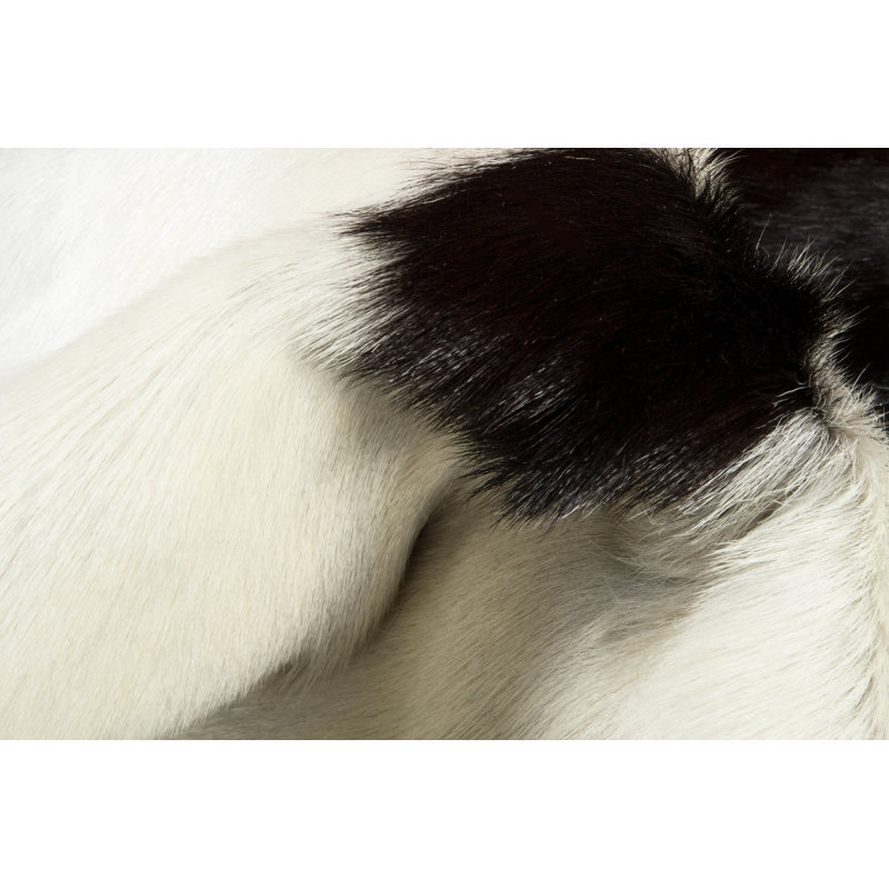 Tapis blanc / chocolat Cohn, 2' x 3'