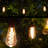 Bottesford Indoor / Outdoor 10 - Bulb 30 in. Plug-in LED Standard String Light