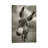 Hey There by Ben Heine - Print on Canvas-143232244-143232247
