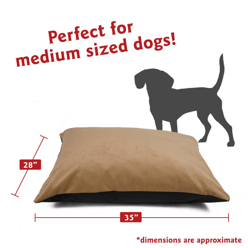 Coussin pour chien Villa Majestic, Brun, Grand (l 46 po x P 35 po x H 4 po)