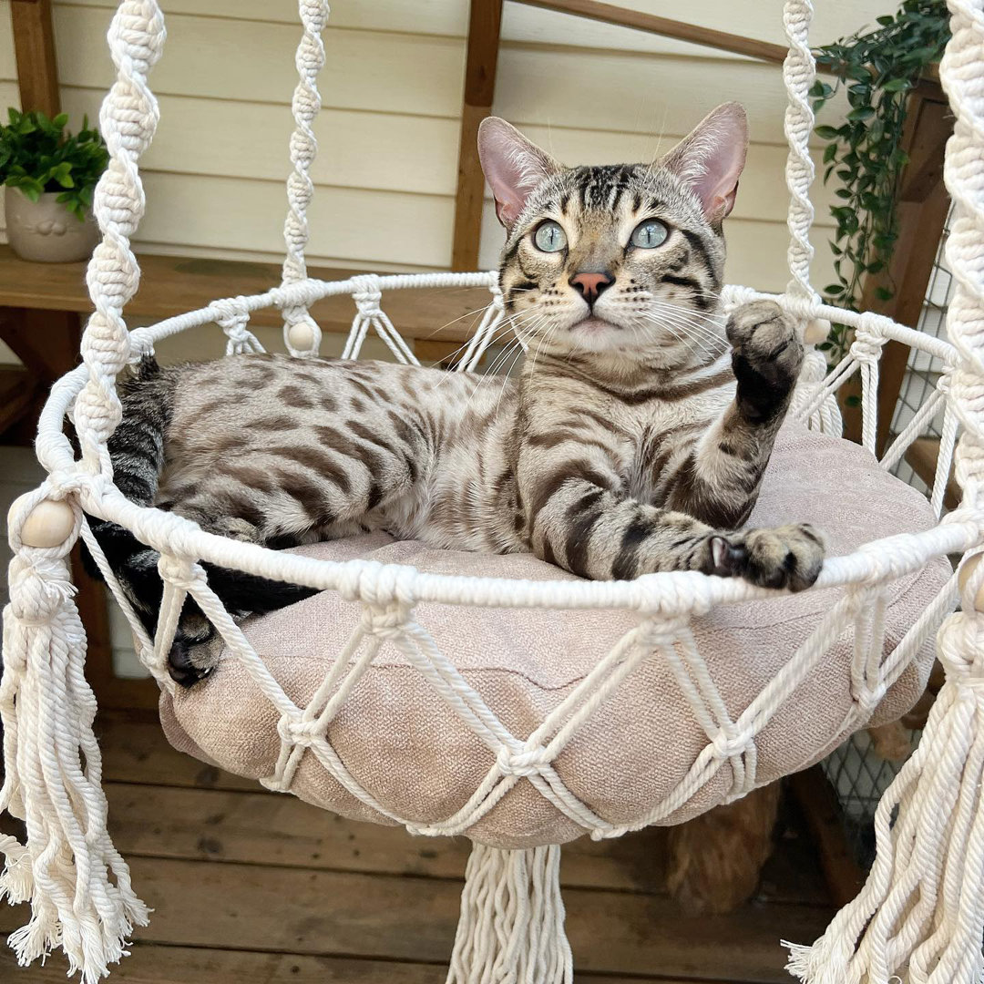Emellie Bohemian Style Cat Hammock, Cat Swing with Hanging for Sleeping, Indoor/Outdoor Home Décor Tucker Murphy Pet™